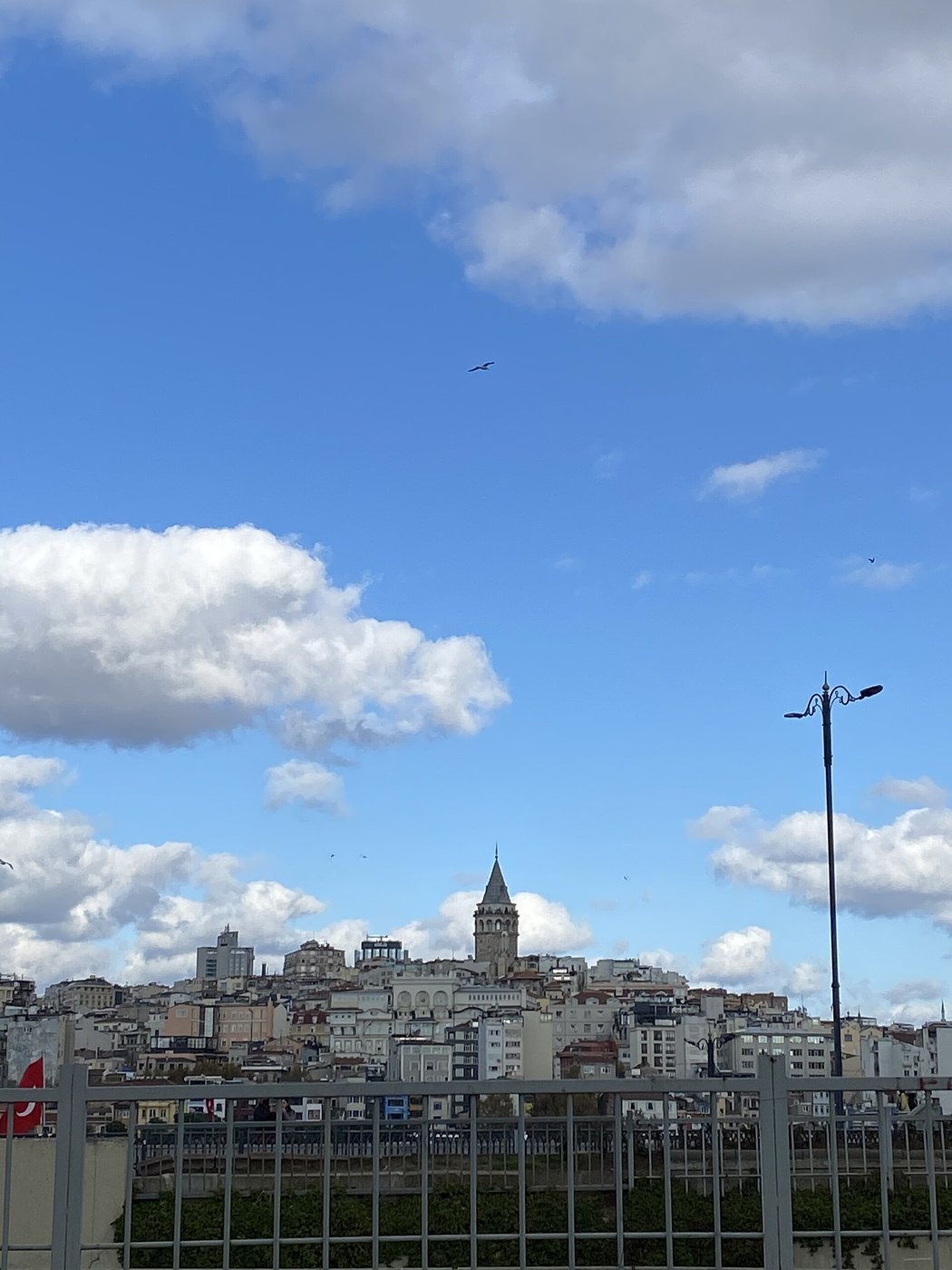 Mahalle · dönüşüm